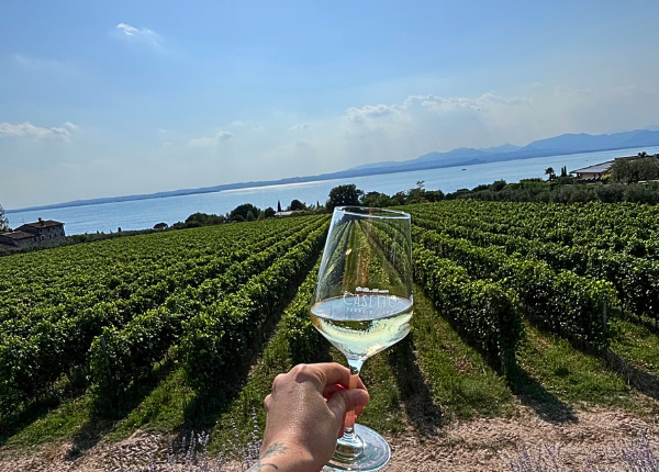 Lake Garda food and wine experience with Bellia Experience