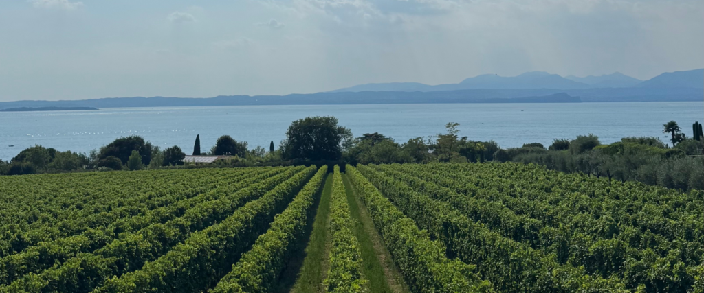Tailor-made travel experiences in Italy with Bellia Experience