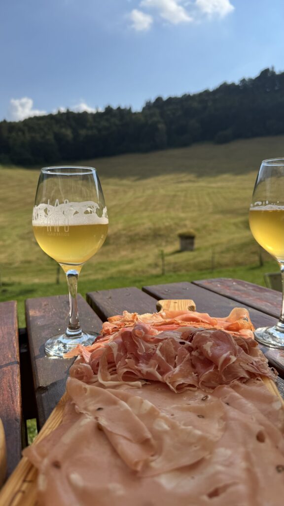Guided craft beer tasting in Lessinia