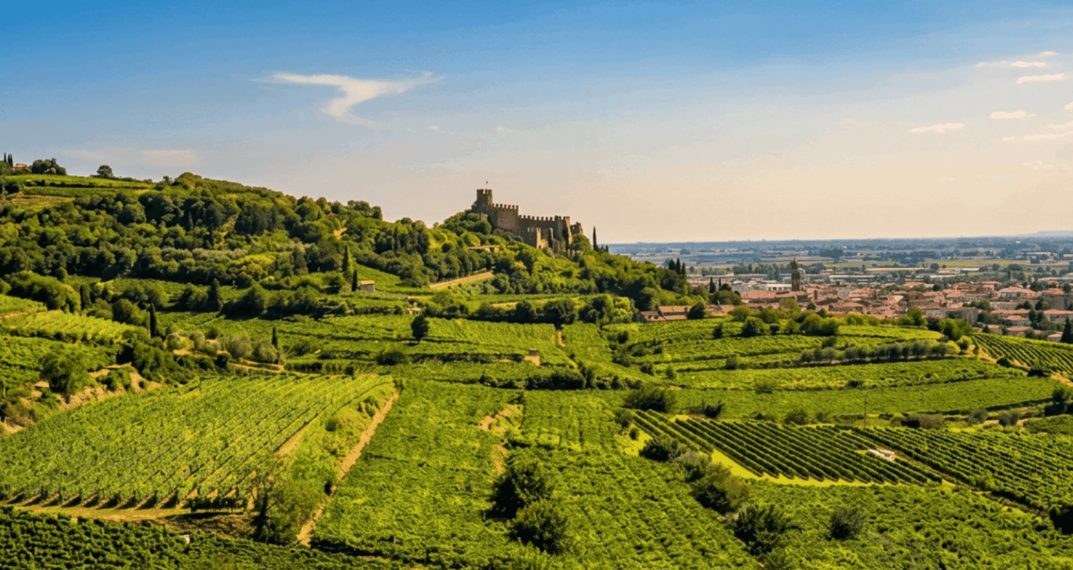Vineyards and Soave Castle in the rolling hills of Veneto