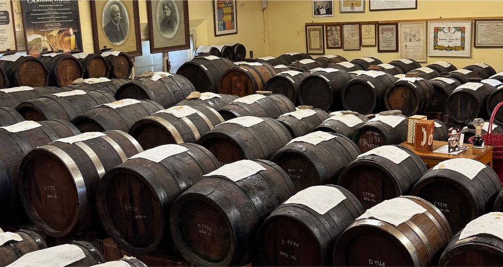Traditional balsamic vinegar and Parmigiano Reggiano tour in Modena
