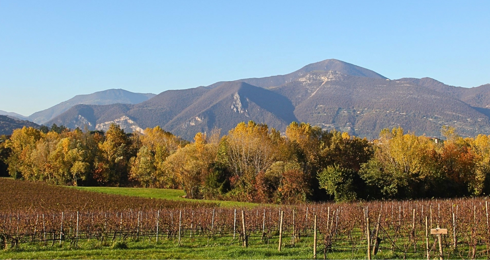 Food and wine experiences in Lombardia