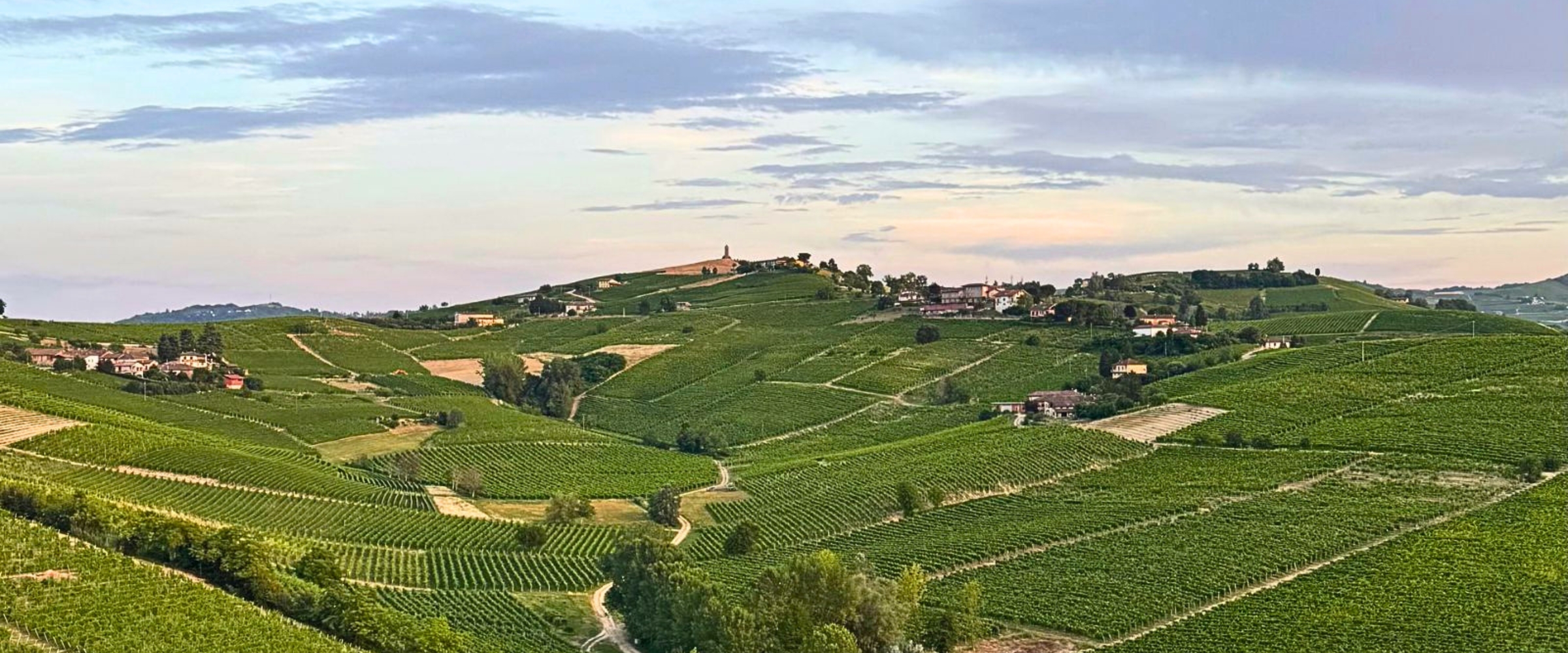 Best Food and Wine Experiences in Northern Italy: A Local Guide