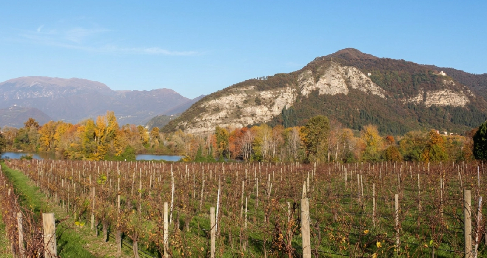 Franciacorta vineyards and Lake Iseo wine tour