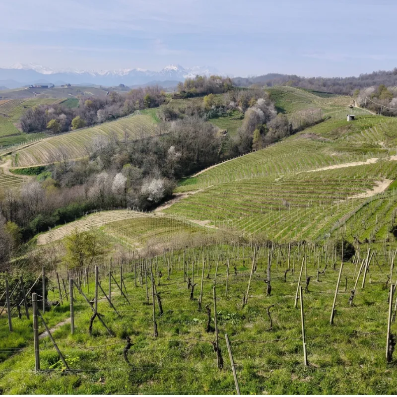 Ghemme DOCG vineyards and winery in Alto Piemonte