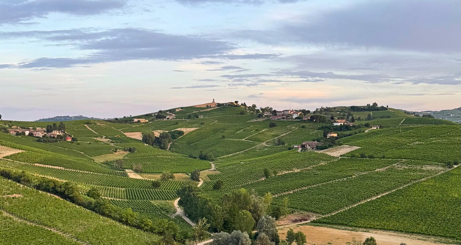 Food and wine experiences among the vineyards of Piemonte